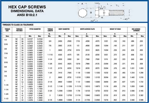 1/4-20 screws|1 4 20 screw length.